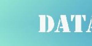 Data Processing Services