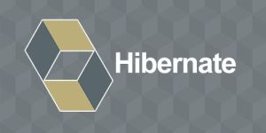 Hibernate Online Training Services