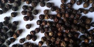 Black Pepper Seed