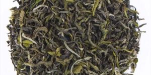 Green Tea - Tea Sense