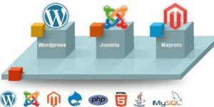 Cms Web Development Services