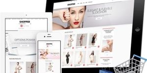 E-Commerce Web Designing Service