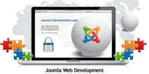 Joomla Web Development Service