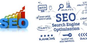 Search Engine Optimization Services