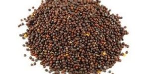 Mustard Seeds