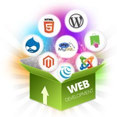 Web Development Course