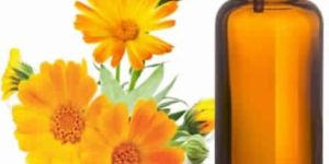 Calendula Oil