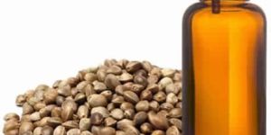 Hemp Seed Oil