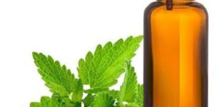 Mentha Arvensis Oil