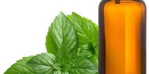 Mentha Piperita Oil