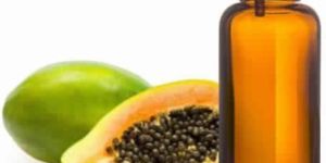 Papaya Seed Oil