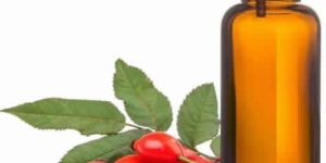 Rosehip Oil
