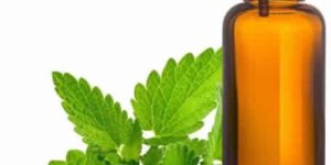 Spearmint Oil