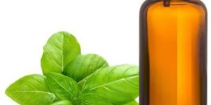 Sweet Basil Oil