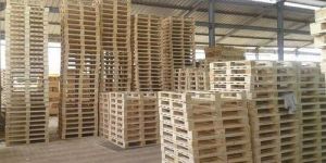 Euro Wooden Pallet