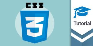 CSS Course