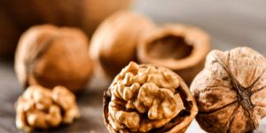 Walnut Shells