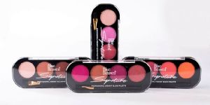 Signature 4in1 Professional Blush Palette - 8 Grams