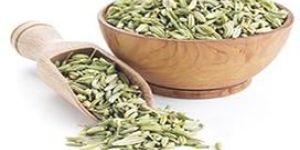 Fennel Seeds