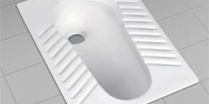 Indian Toilet Seat