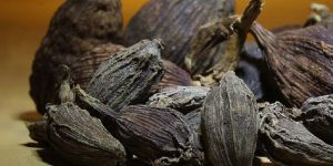 Black Cardamom