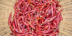 Dried Red Chilli