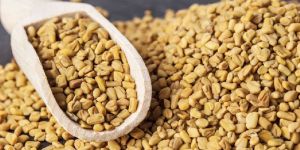 Fenugreek Seeds