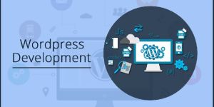 Wordpress Development Services