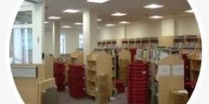 Commercial Shifting Services