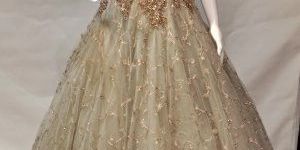 Tissue Jaal Work Gown