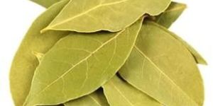 Bay Leaves