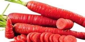 Fresh Carrot