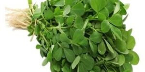 Fresh Fenugreek Leaves