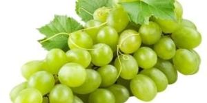 Fresh Grapes