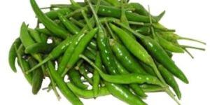 Fresh Green Chilli