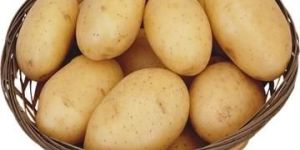 Fresh Potato