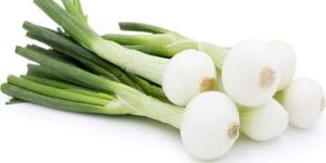 Fresh Spring Onion