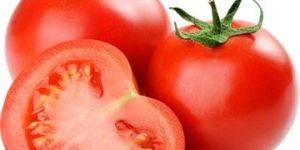 Fresh Tomato