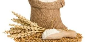 Wheat Flour