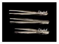 Metal Dissecting Forceps 200mm