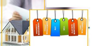 Property Legal Services