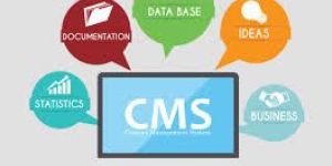 CMS Development