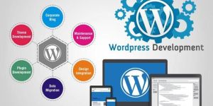 Wordpress Development