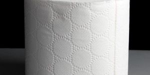 Toilet Tissue Paper Roll