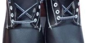 Leather Safety Shoes