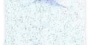 White Satin Printed Shirt