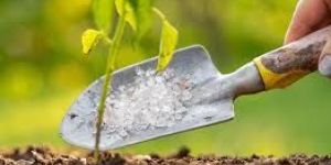 Agro Chemicals