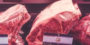 Halal Certification Service