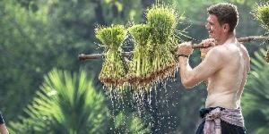 ISO 26000 Certification Service