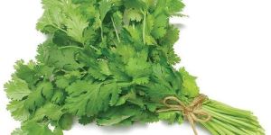 Coriander Leaves